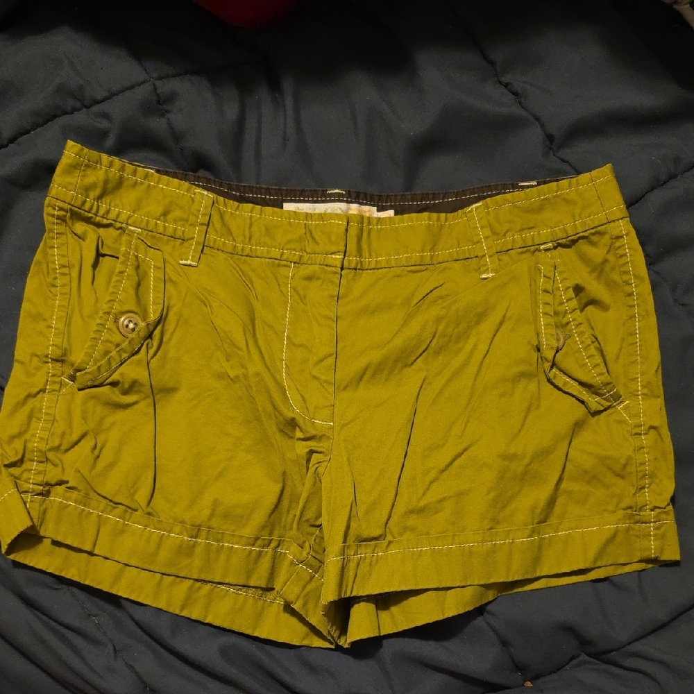 J Crew Olive Green Women's Shorts 6